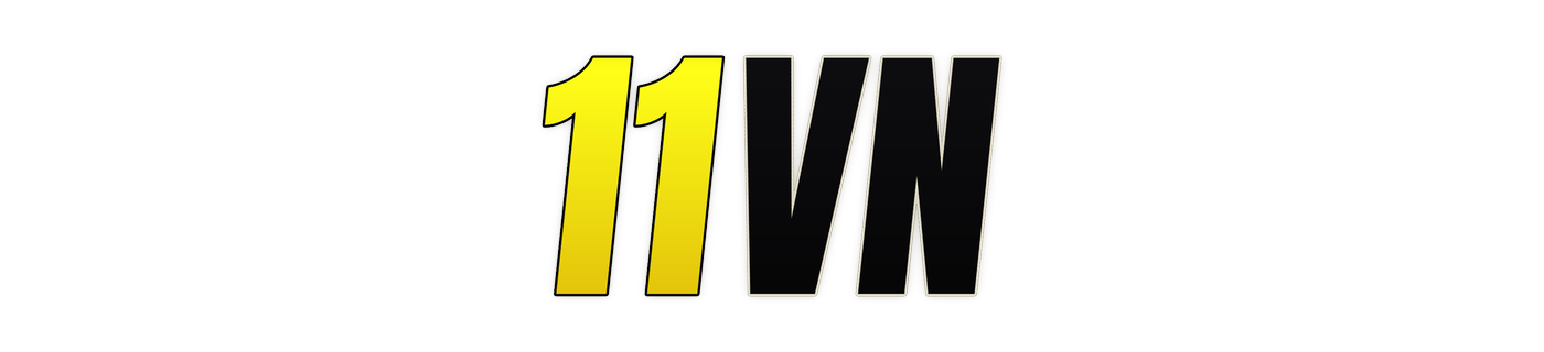 11vn